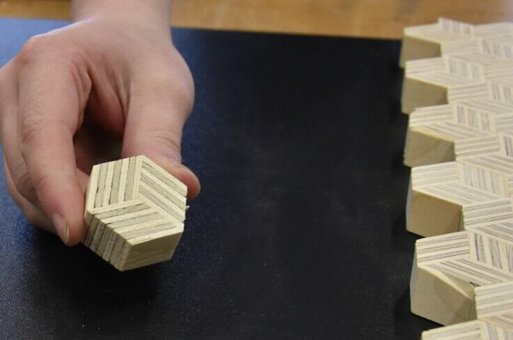 Feest bij Redie. Geslaagd!