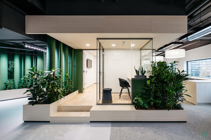 Milieubewuste producten, bamboe en planten